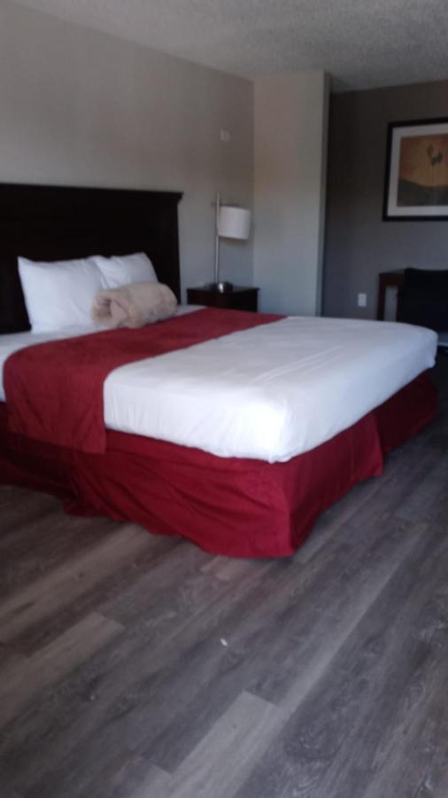 La Casa Gulf Beach Us-19 2* New Port Richey